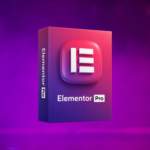 Elementor Pro WordPress plugin price in Bangladesh for web designers and developers.